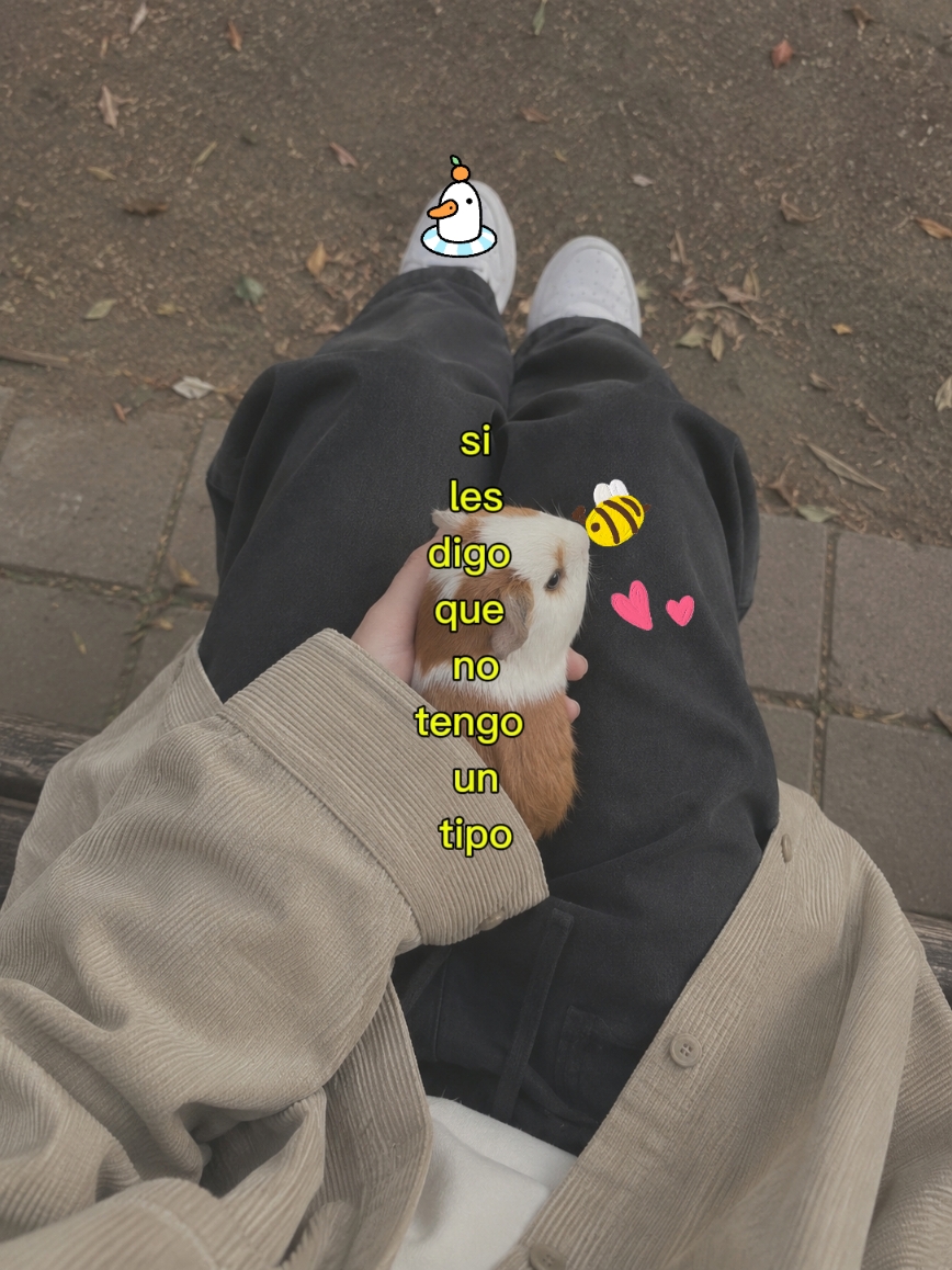 @𝐁𝐋_𝐀𝐒𝐇𝐋𝐄𝐘╋━