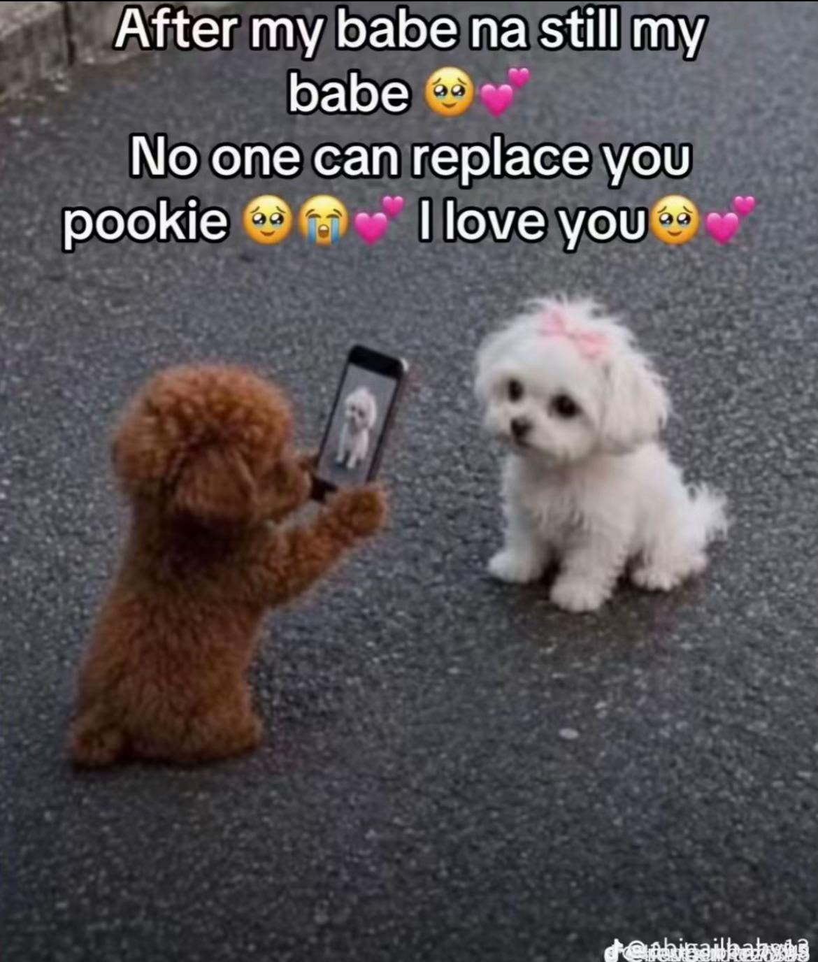 @ŤØPŽŸ JĦÆŶ ĨÑŤẼŘÏØŘ ⚒️