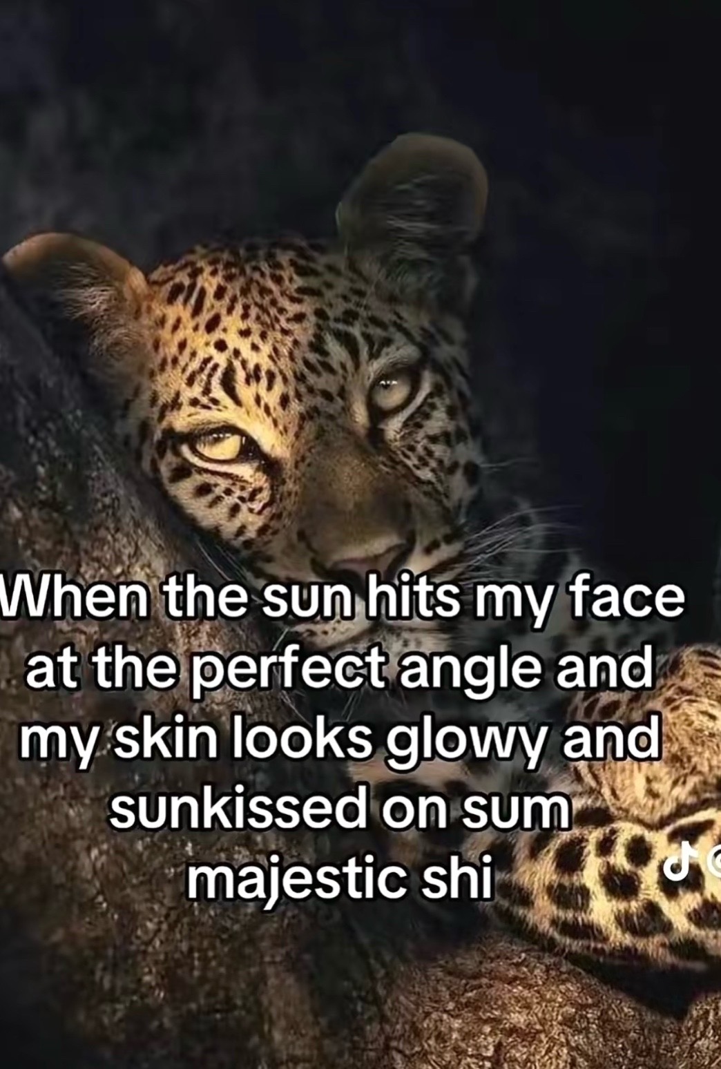 @cutiehadly