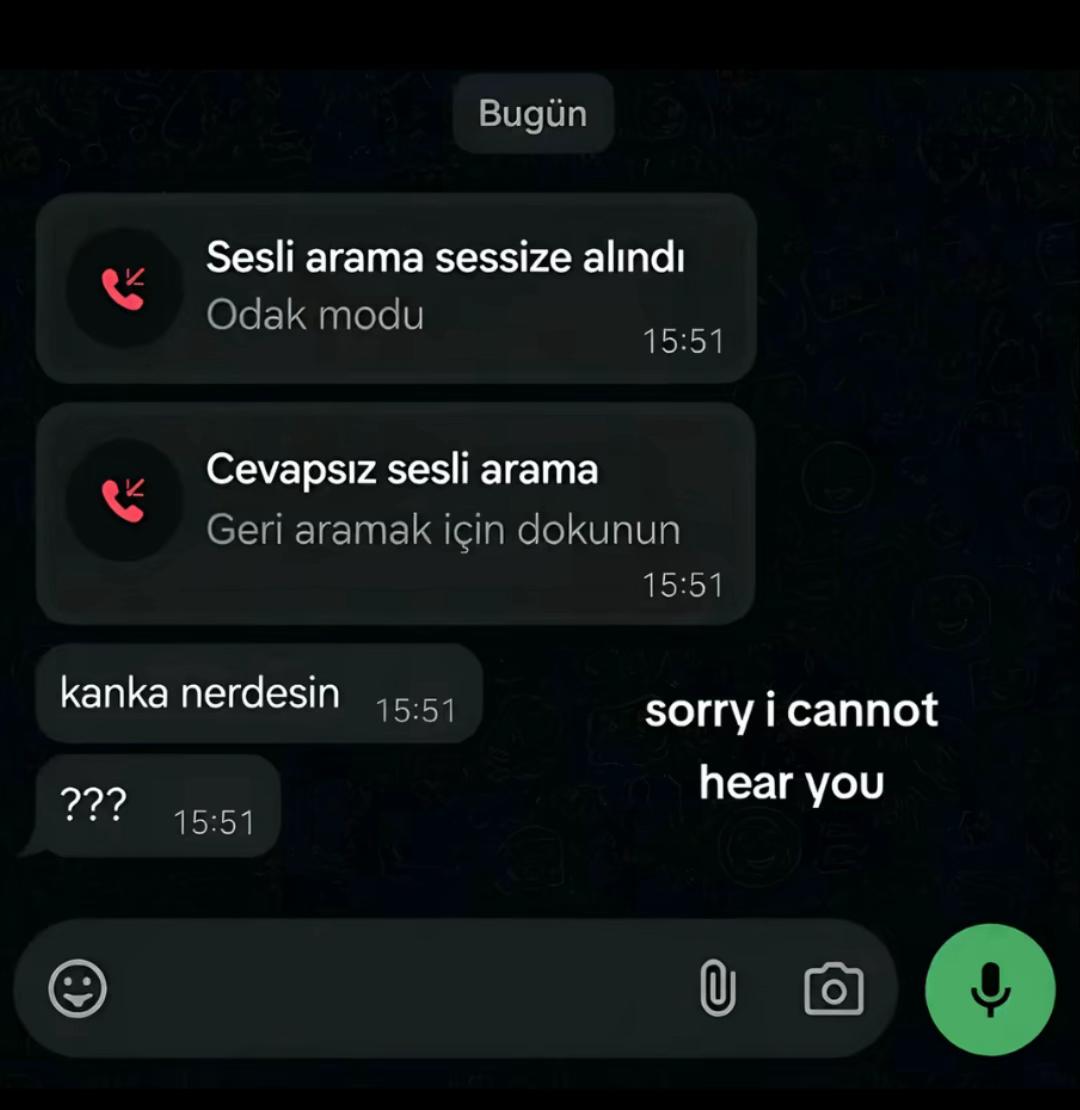 @nur🦊