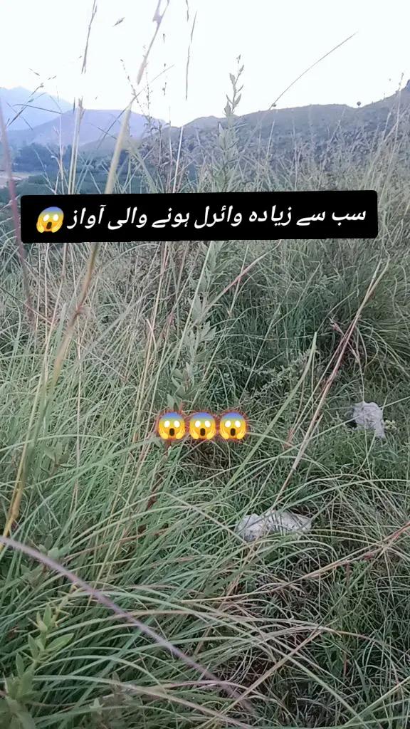 @✨Zahir_khan✨