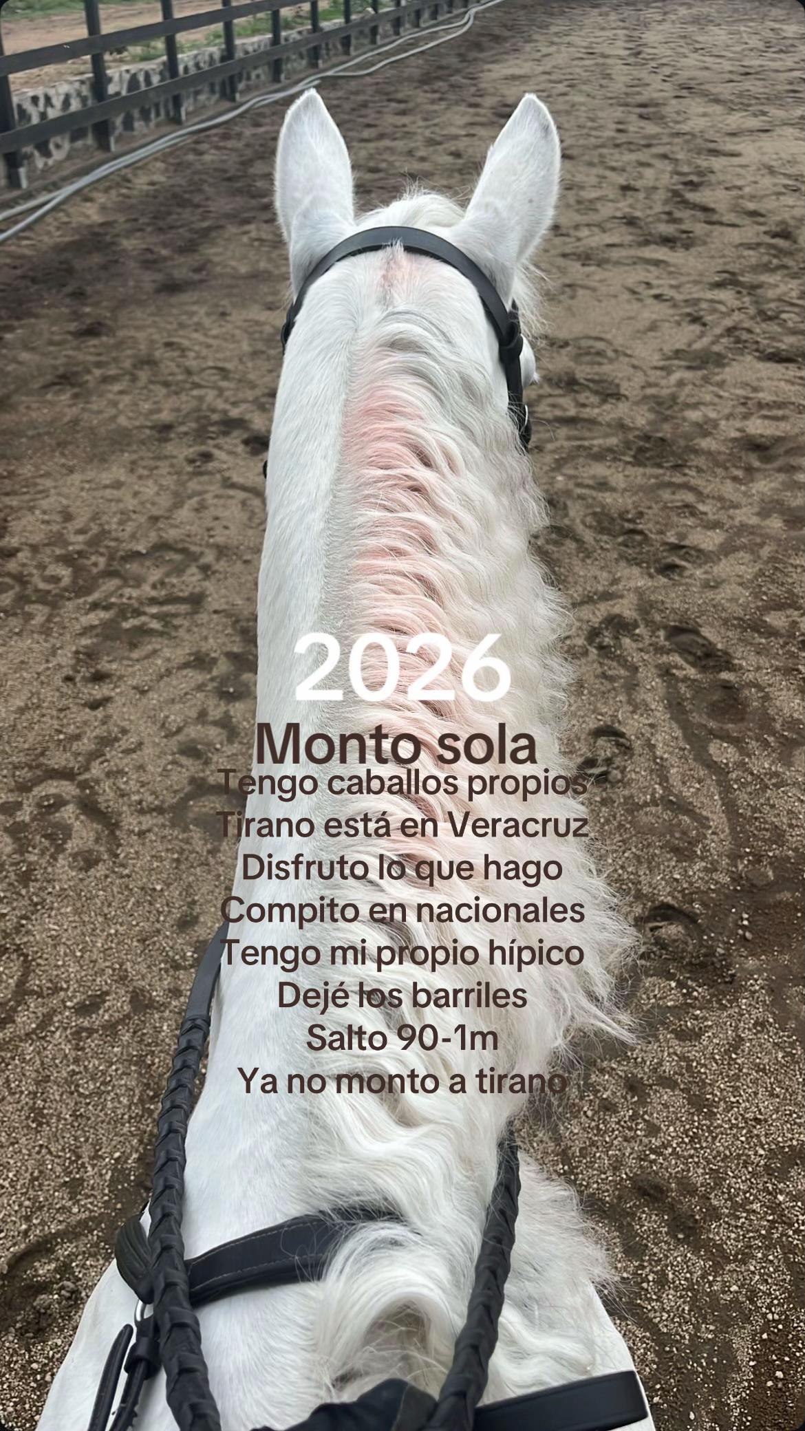 @alee.vas.nar