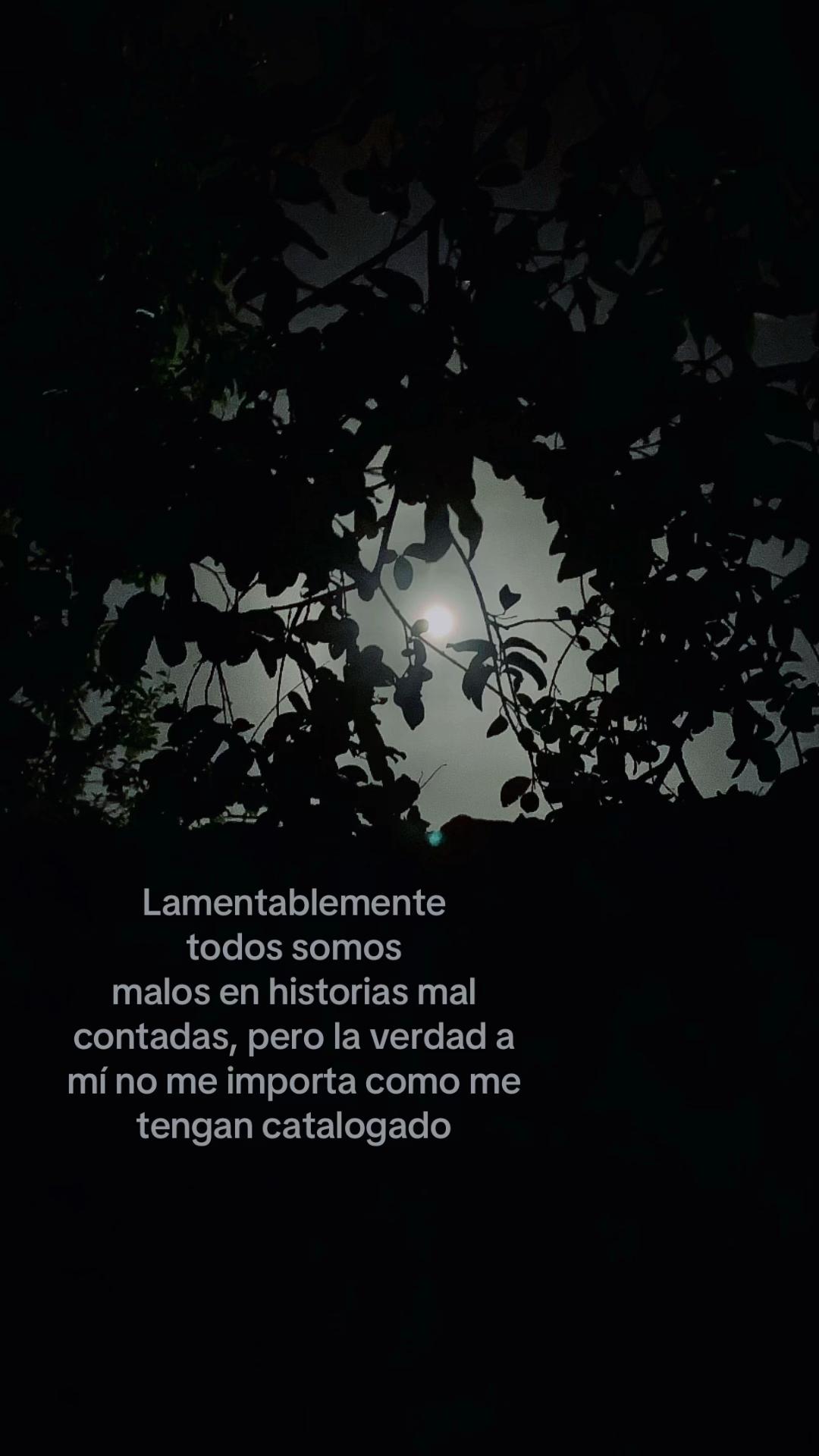 @Nobi2🐈&zwj;⬛