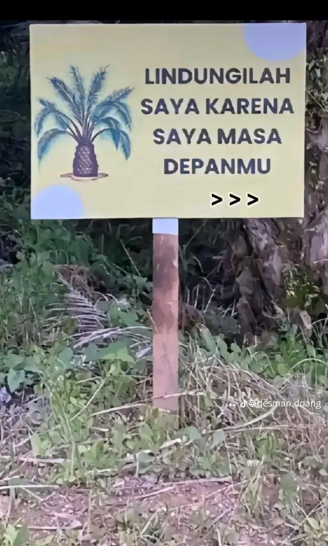 @Susu Bendera