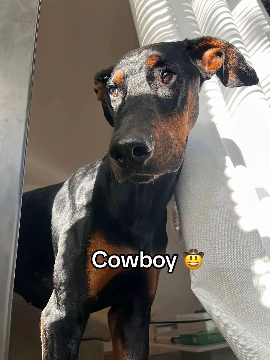 @Cowboy