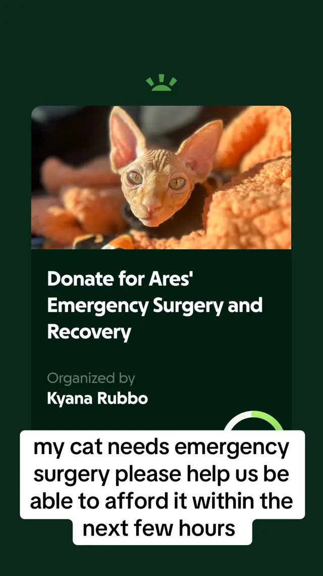 @kyana