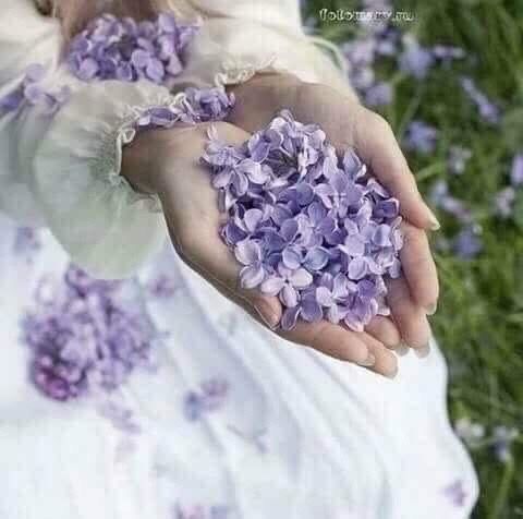 @د.ايمان عزالدين