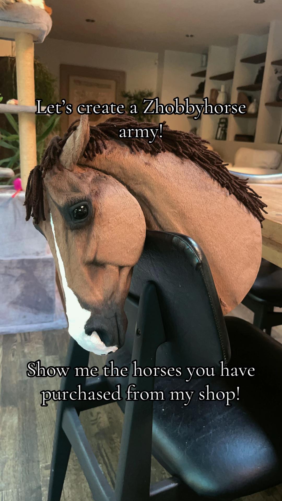 @zhobbyhorse