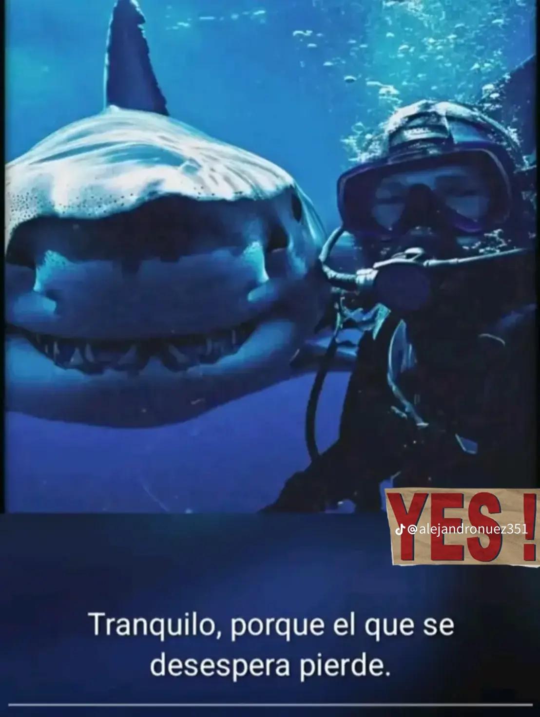 @cesita💥