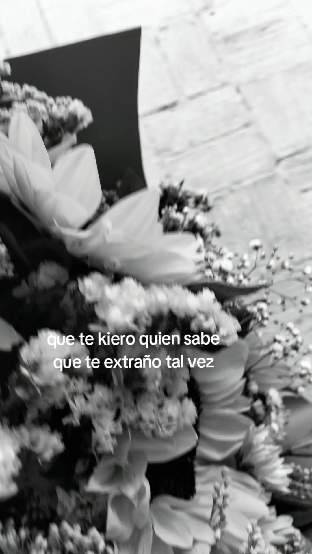@✯✯