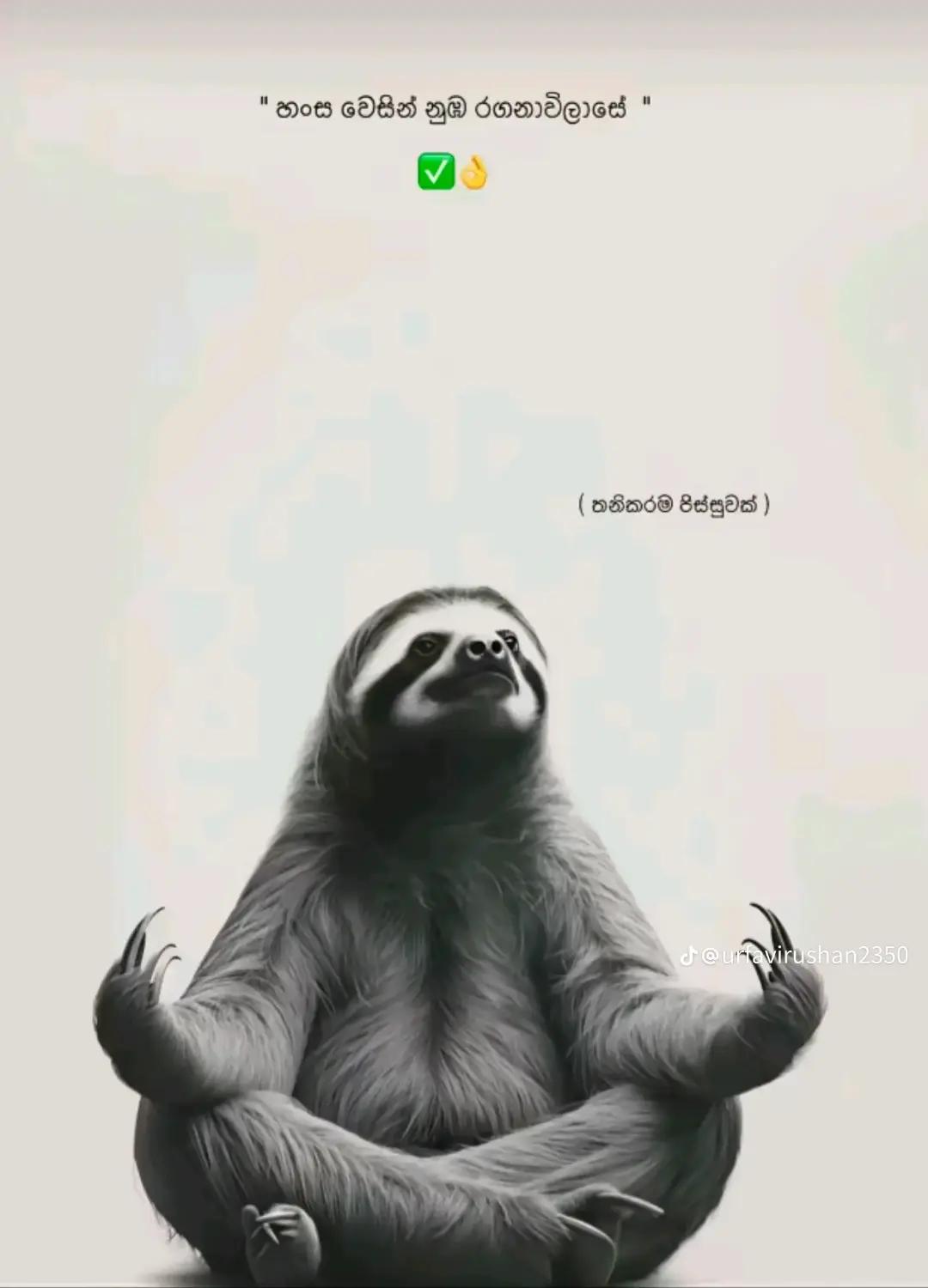 @රශ් | RuZh | ரஸ் 🦕