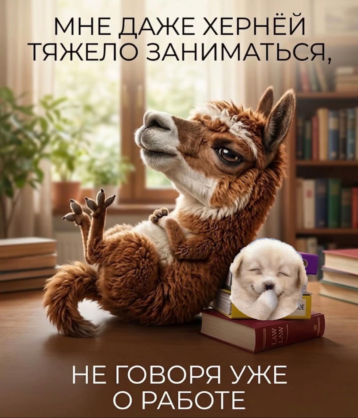 @Юлия