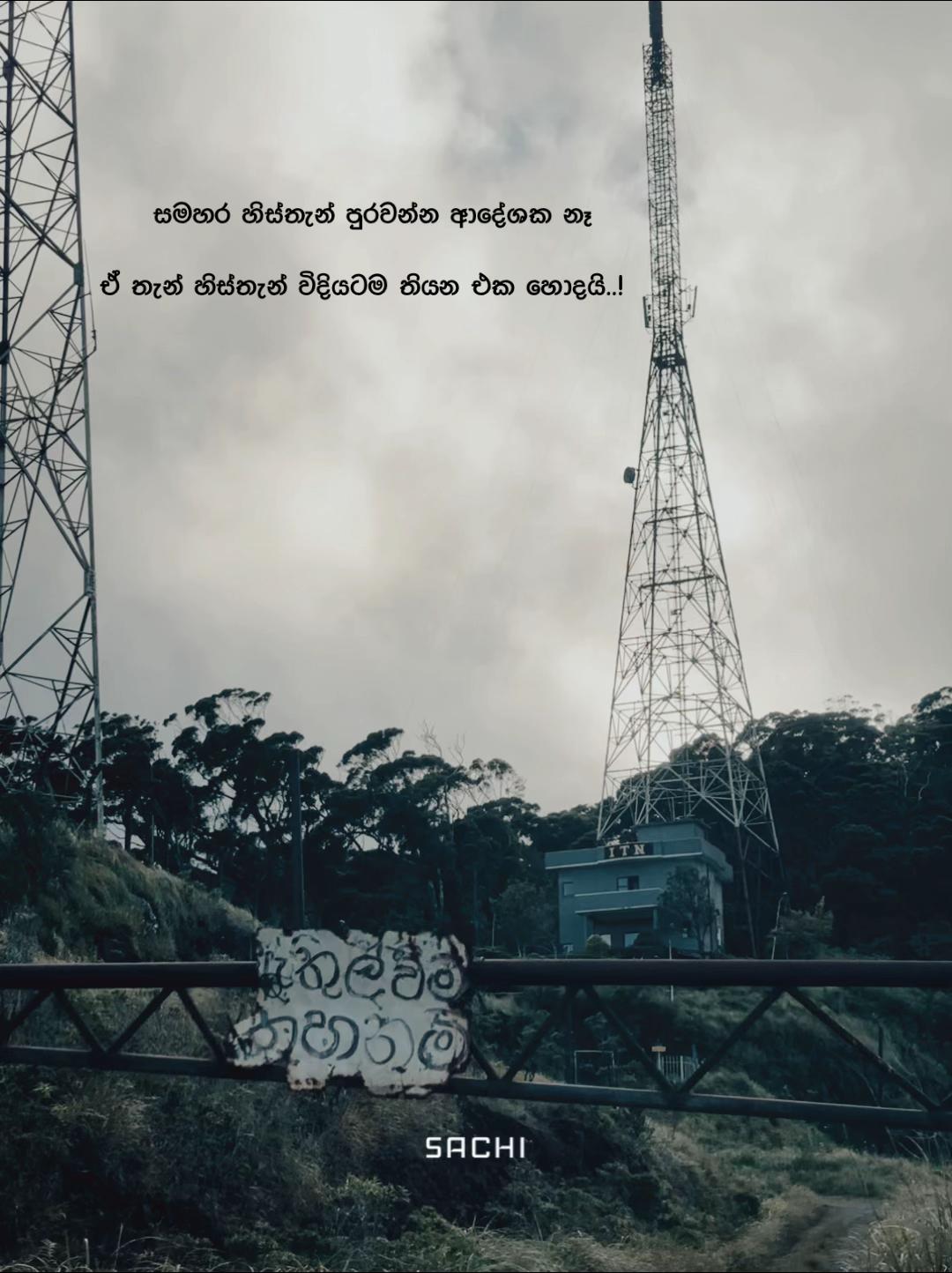 @𝙎𝗮𝗰𝗵𝗶┃සචි 〲 🩸🍃