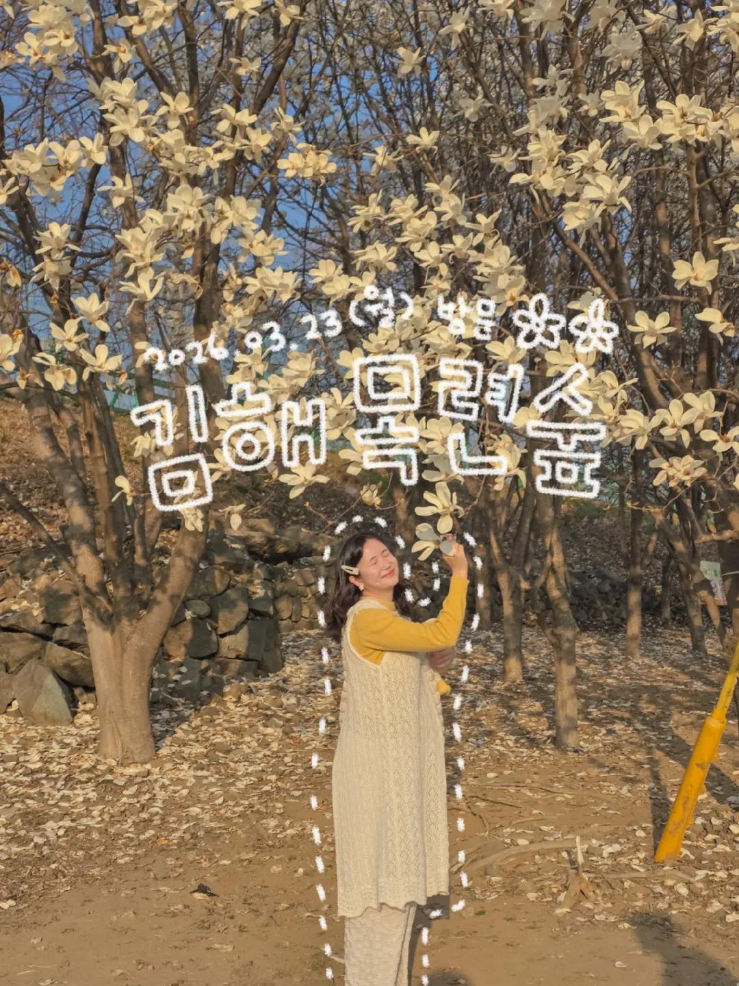 @오늘의 금지