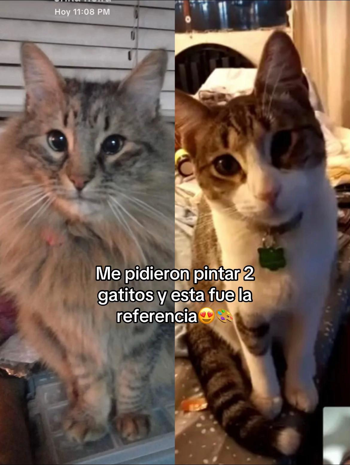 @Constanza Dur&aacute;n