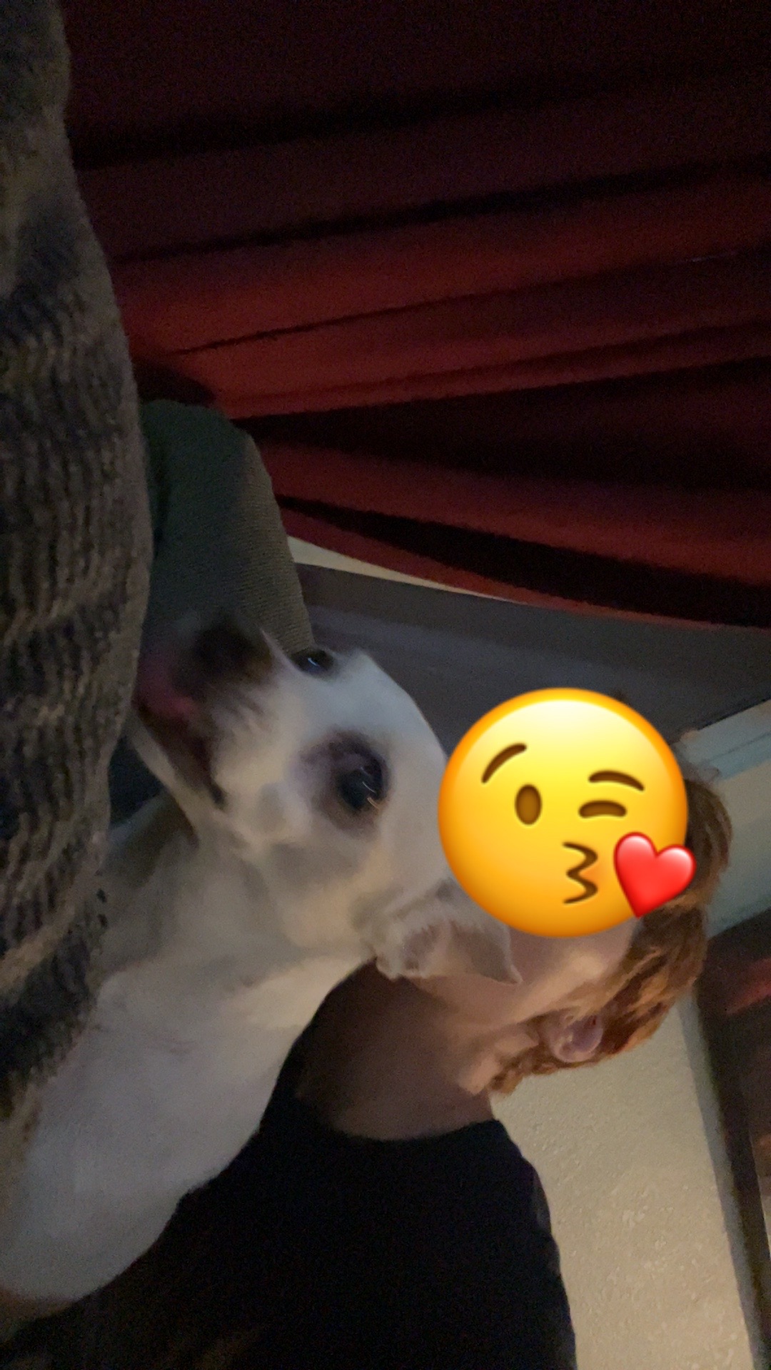 @💛🧡marcalien🤍🩷🩷