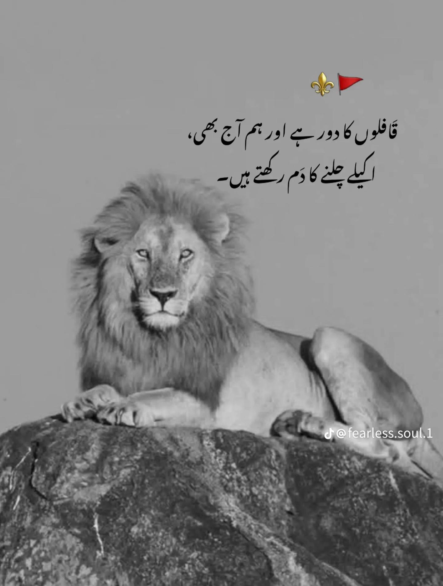 @Rana Ahsan 087