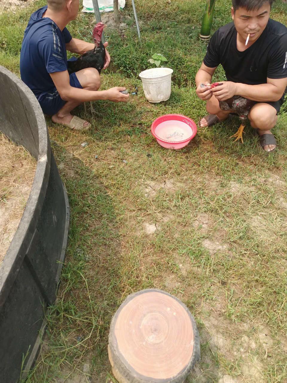 @Quang đam mê