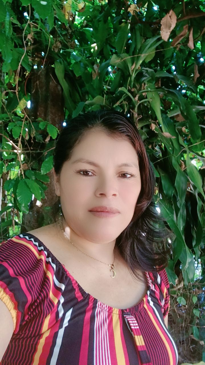 @CLARA DL