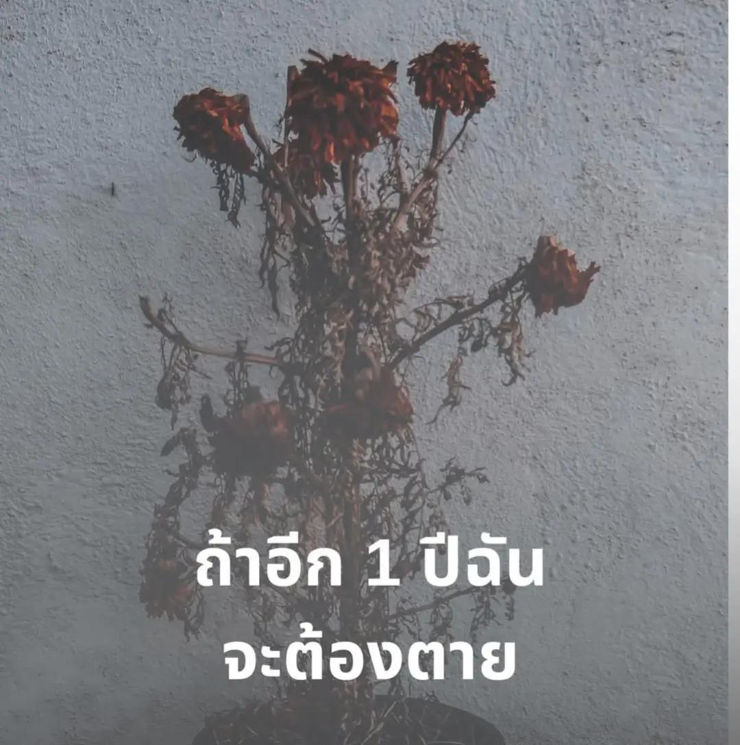 @25time
