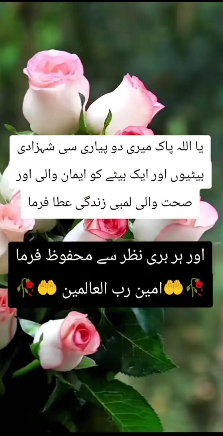 @Hina Noman