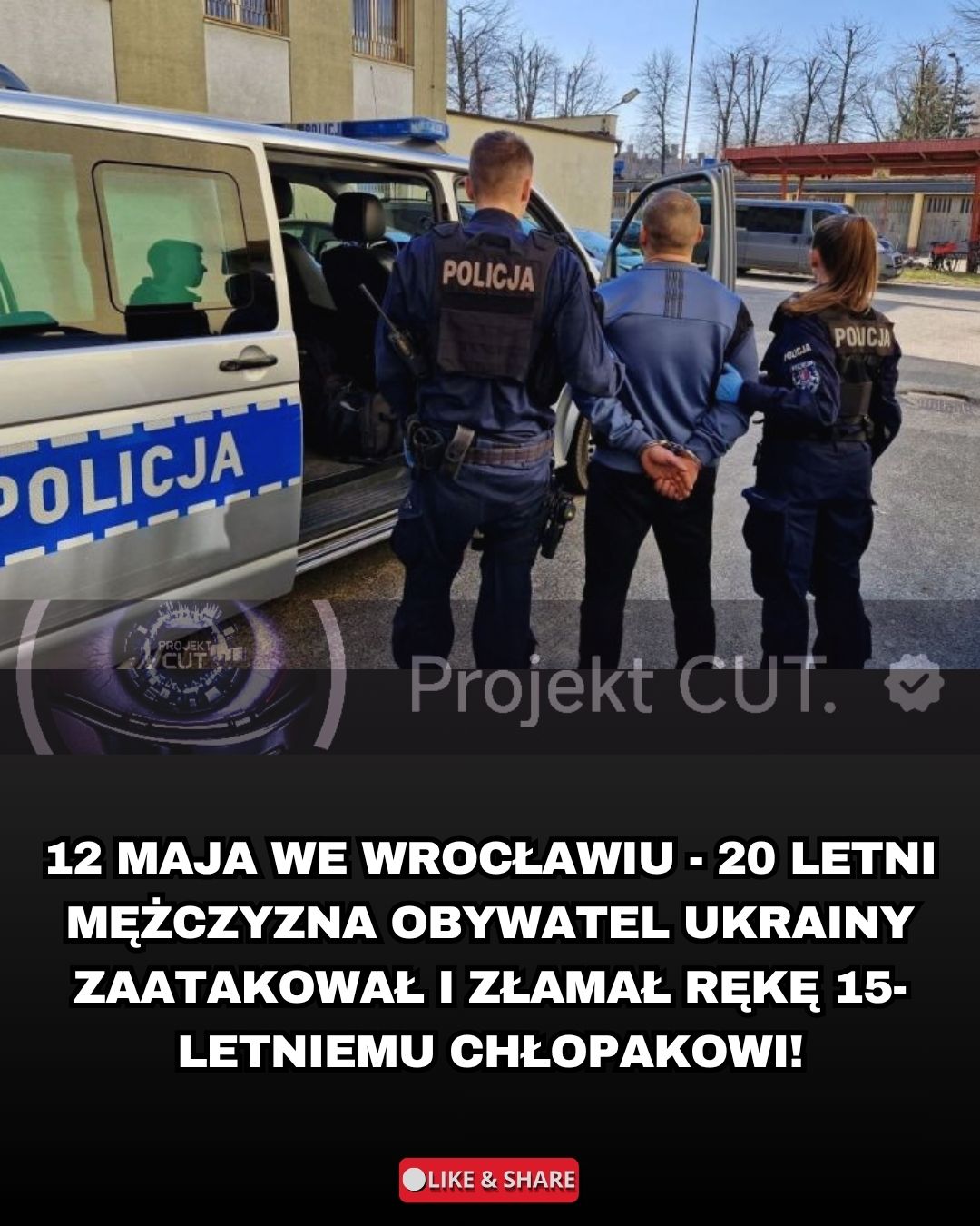 @Projekt CUT.