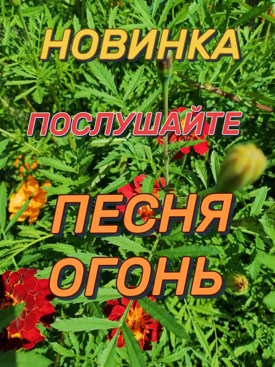 @Бусинка❤️