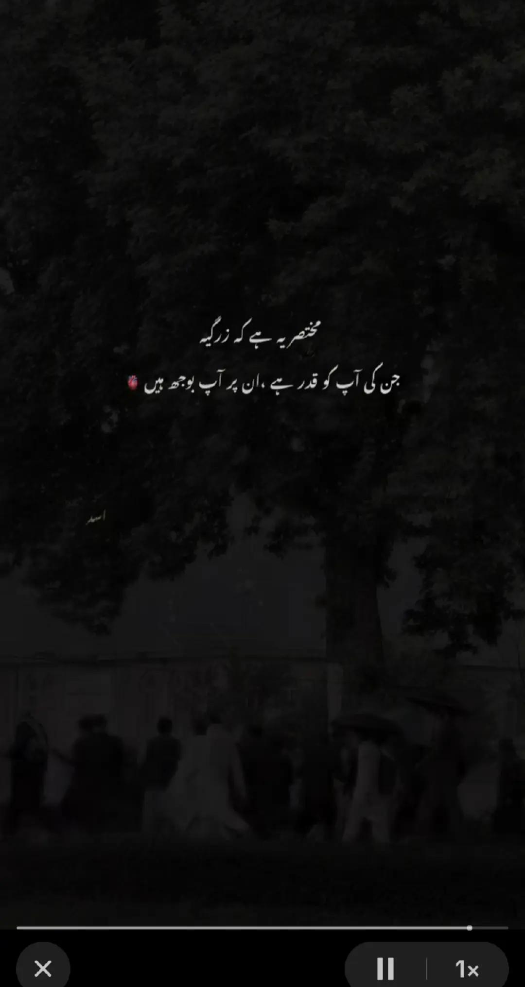 @Ridan-shani✨️