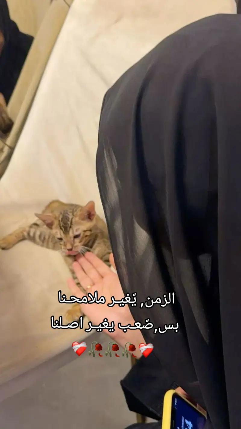 @♯̶ب۫ن۪͢ـت آެࢦفـ⃪ࢪات٘🤎⌯⤹&bull;