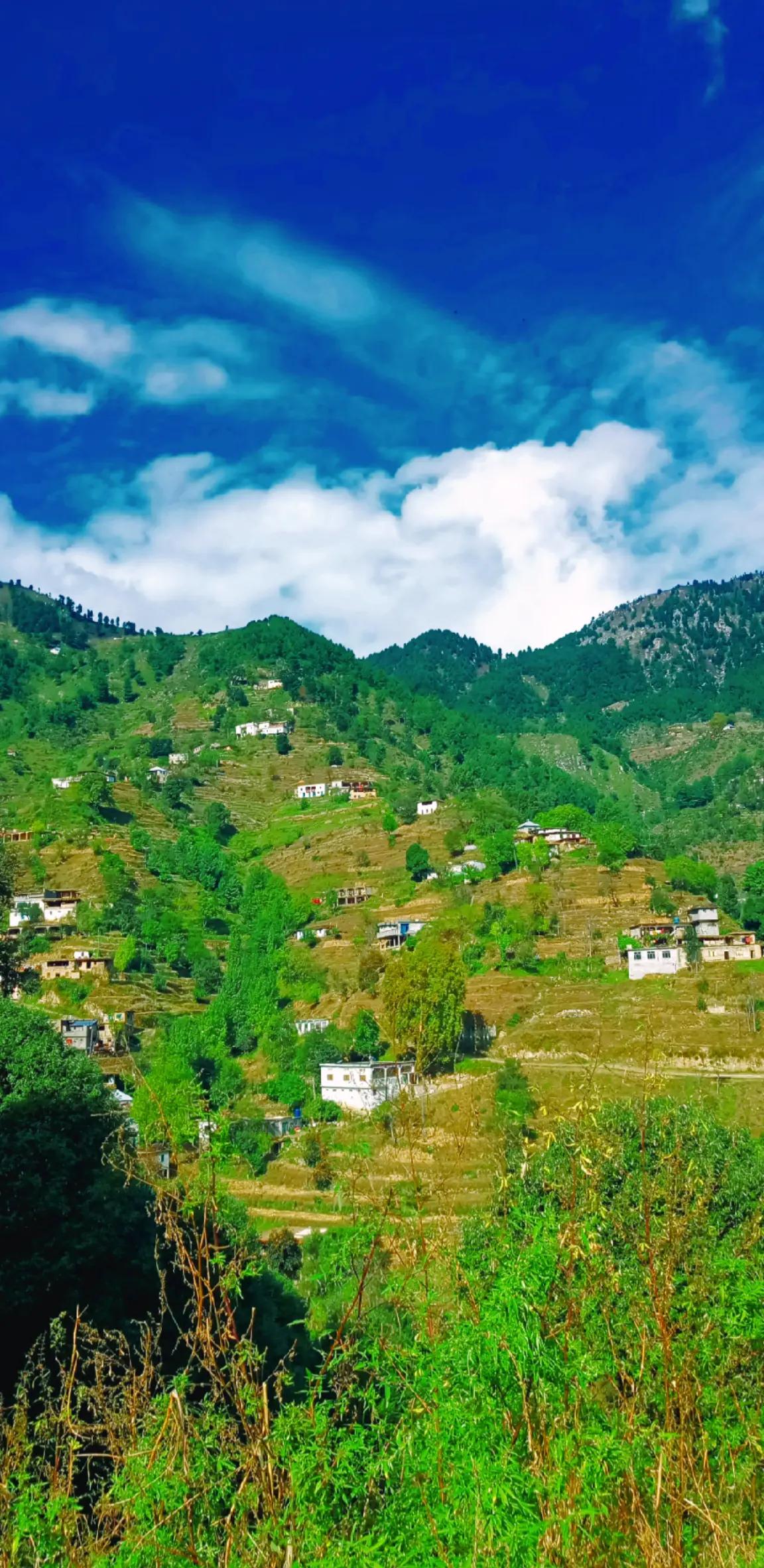 @🌲غر سنے 🌲