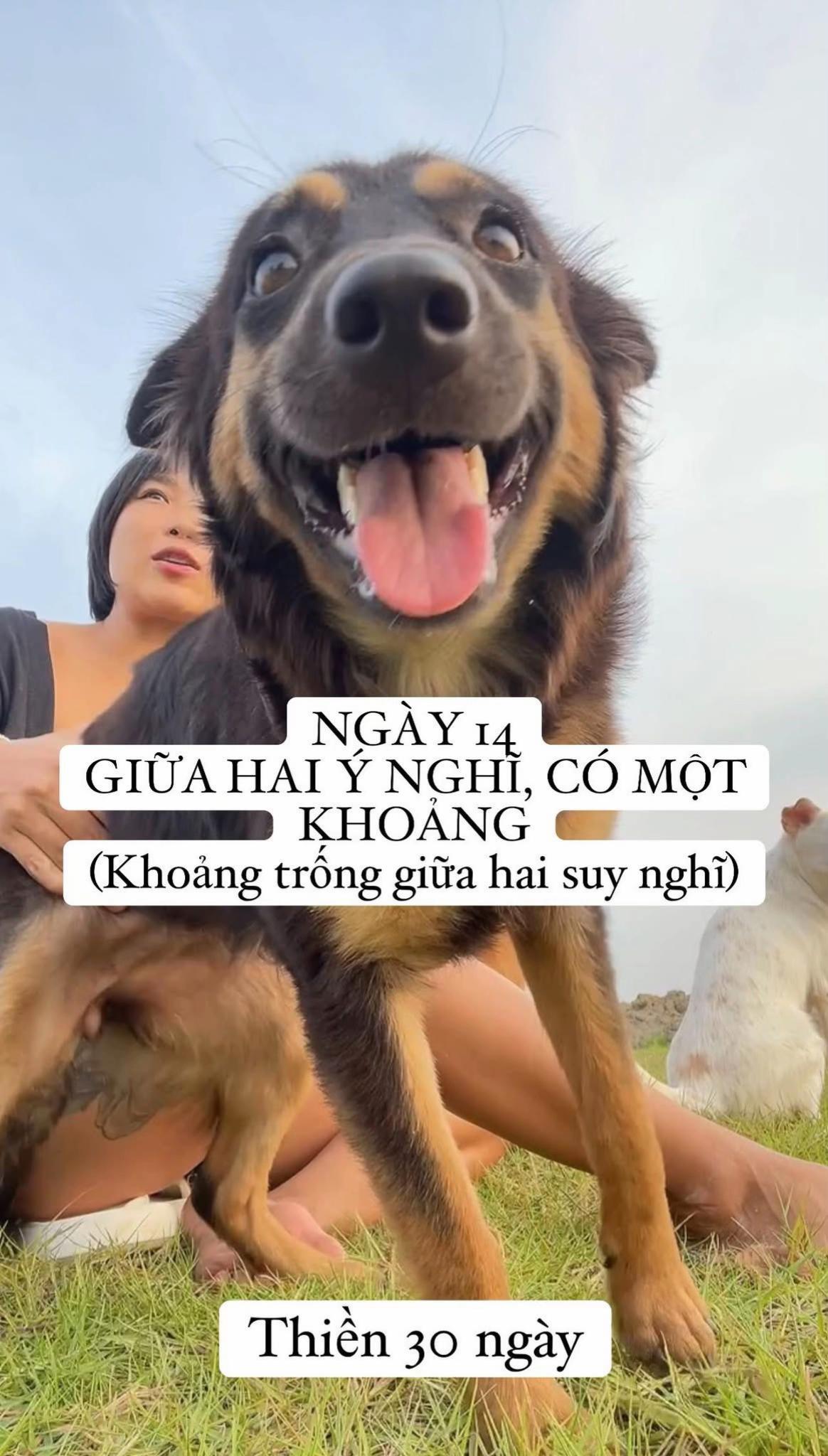 @buihoangbichtho