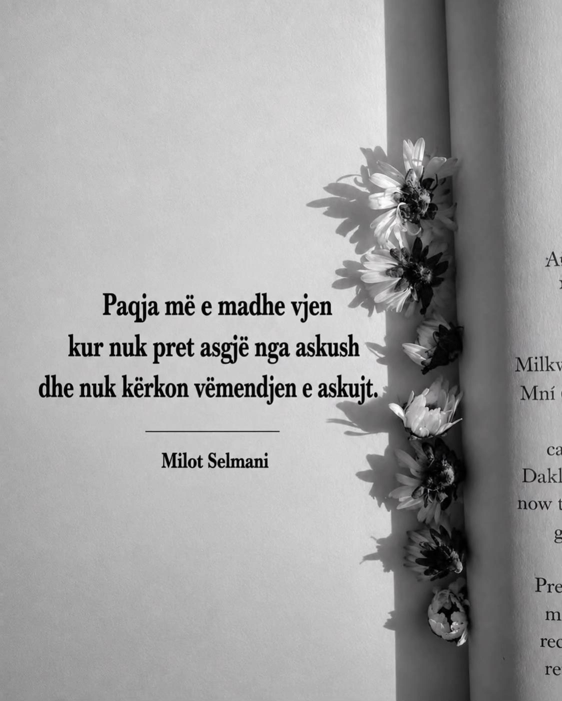 @milotselmani