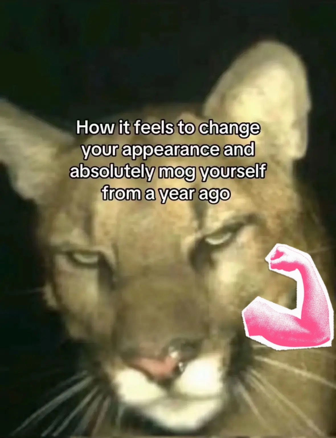 @Dani🌸