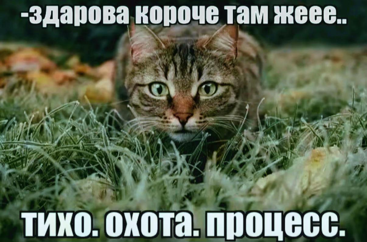 @тгк турбо выбулькиватель
