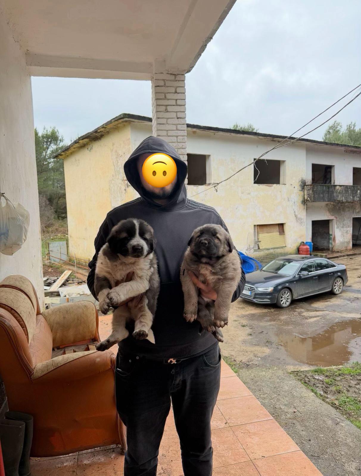 @Mǎł&scaron;&iuml;ǎ_ě_ķř&uuml;jẽş