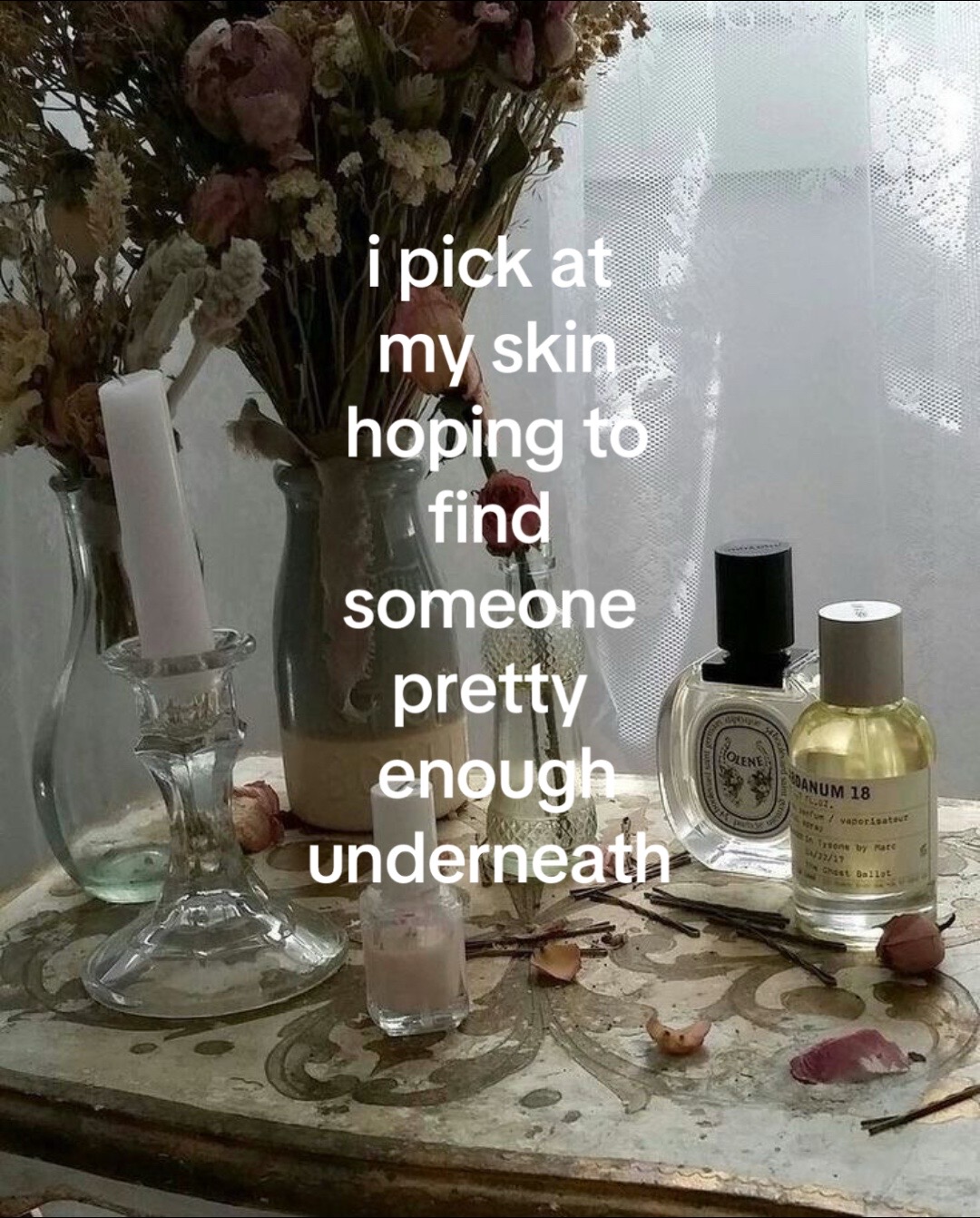 @🪽