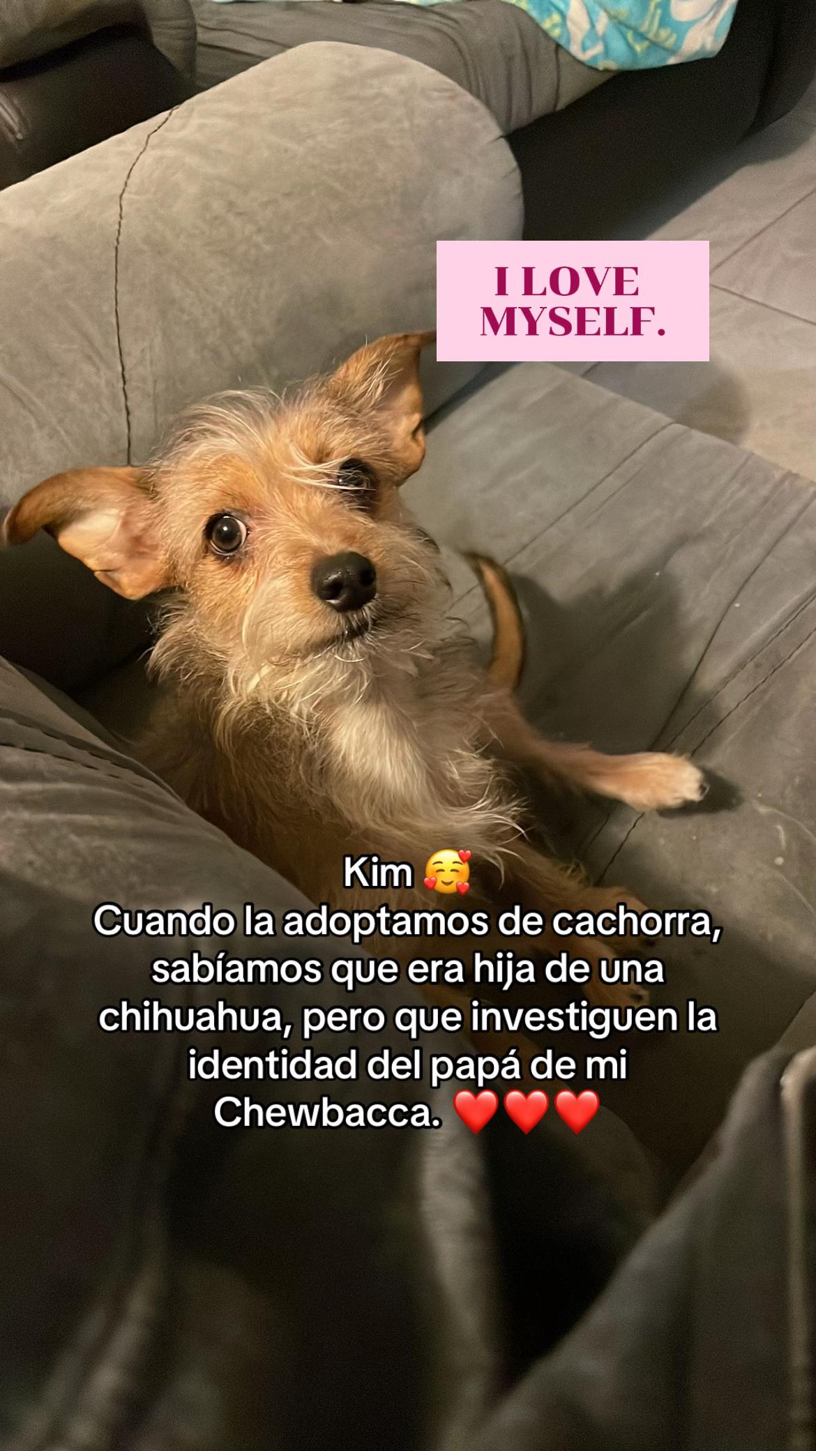@Miguel Landin