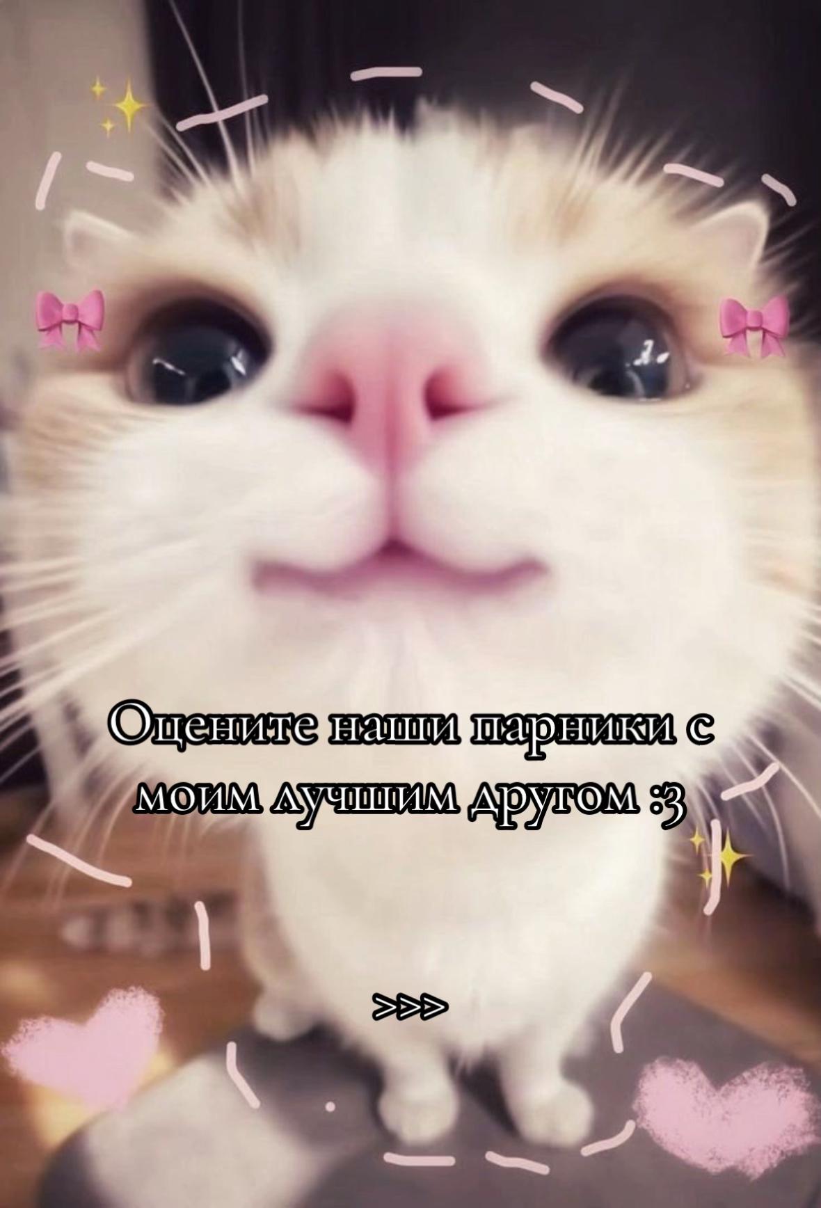 @✞ Tasmanka ♱