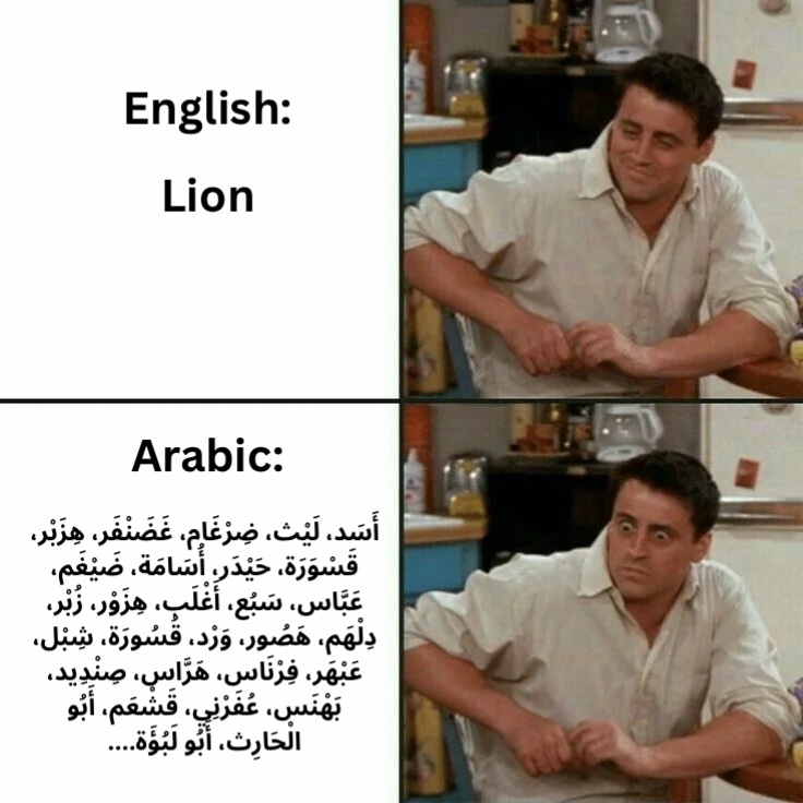 @The Safeer Arabic School