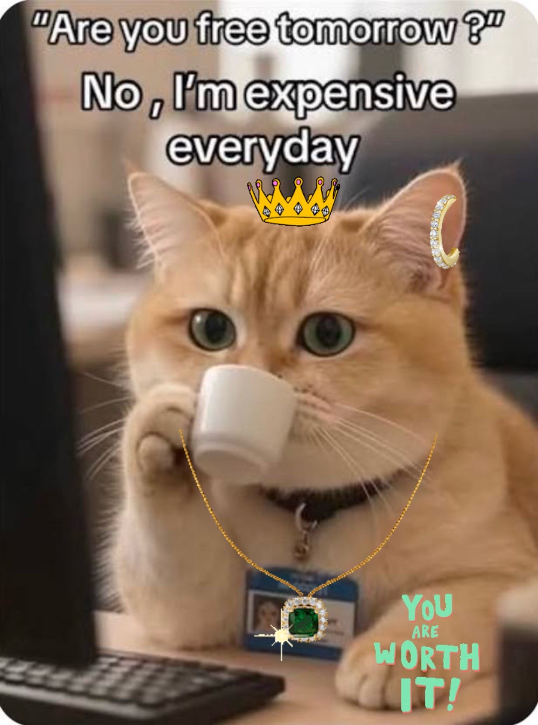 @🐈&zwj;⬛🐈Shelby🐈