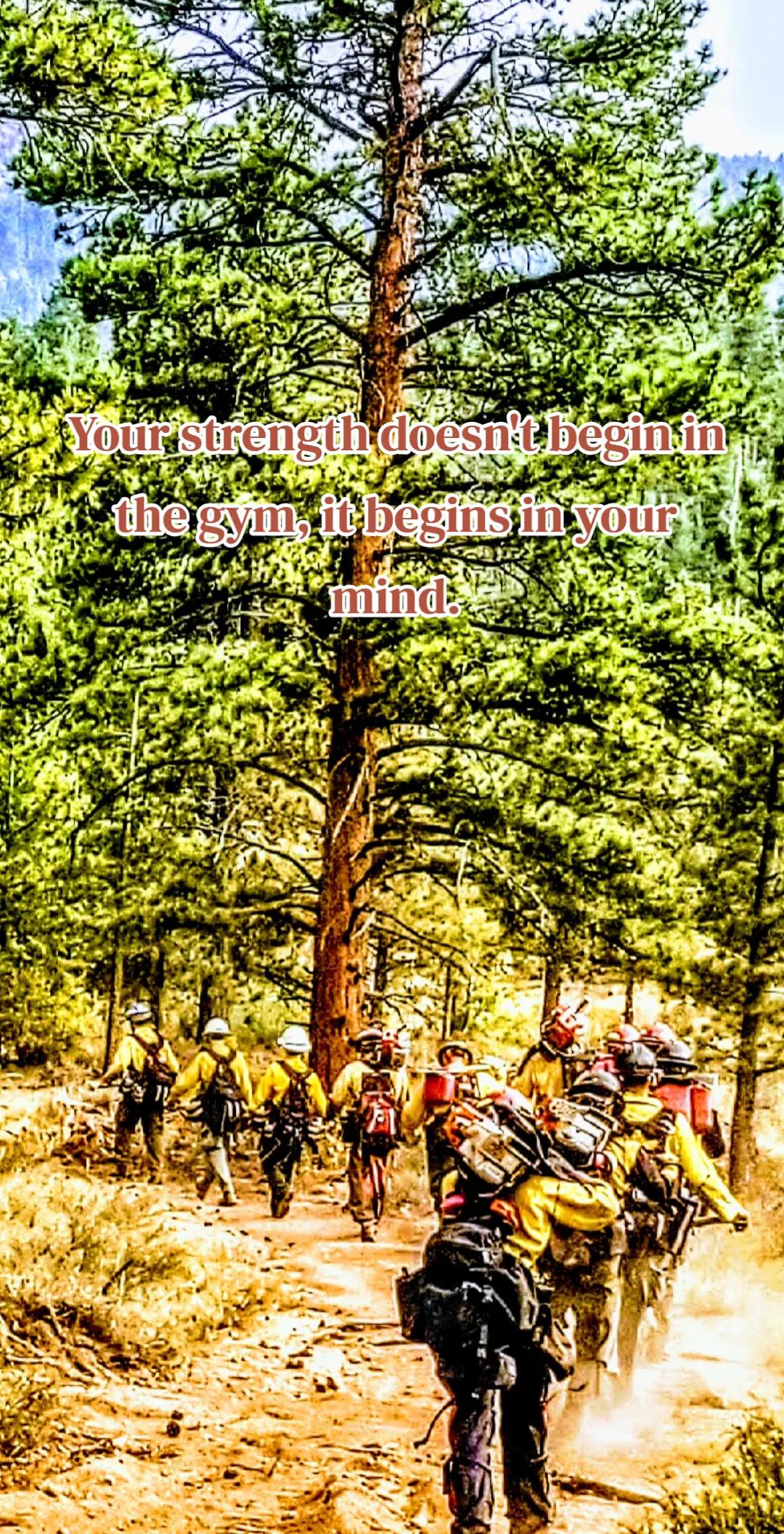 @mac7980