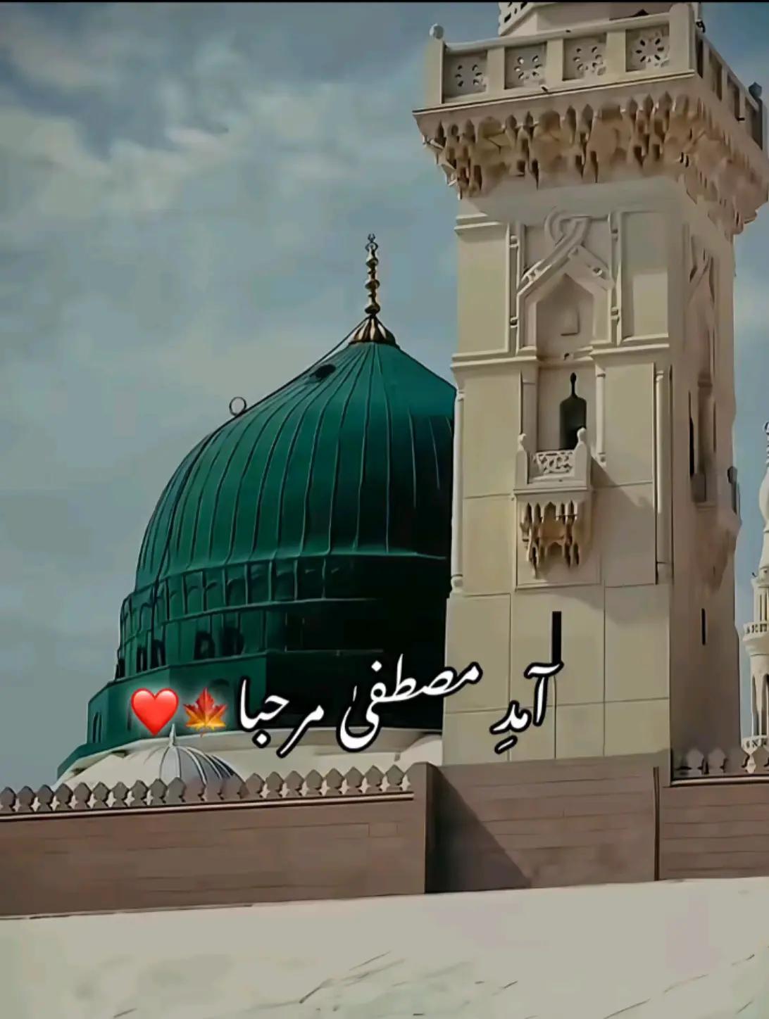 @Raja Ibraheem