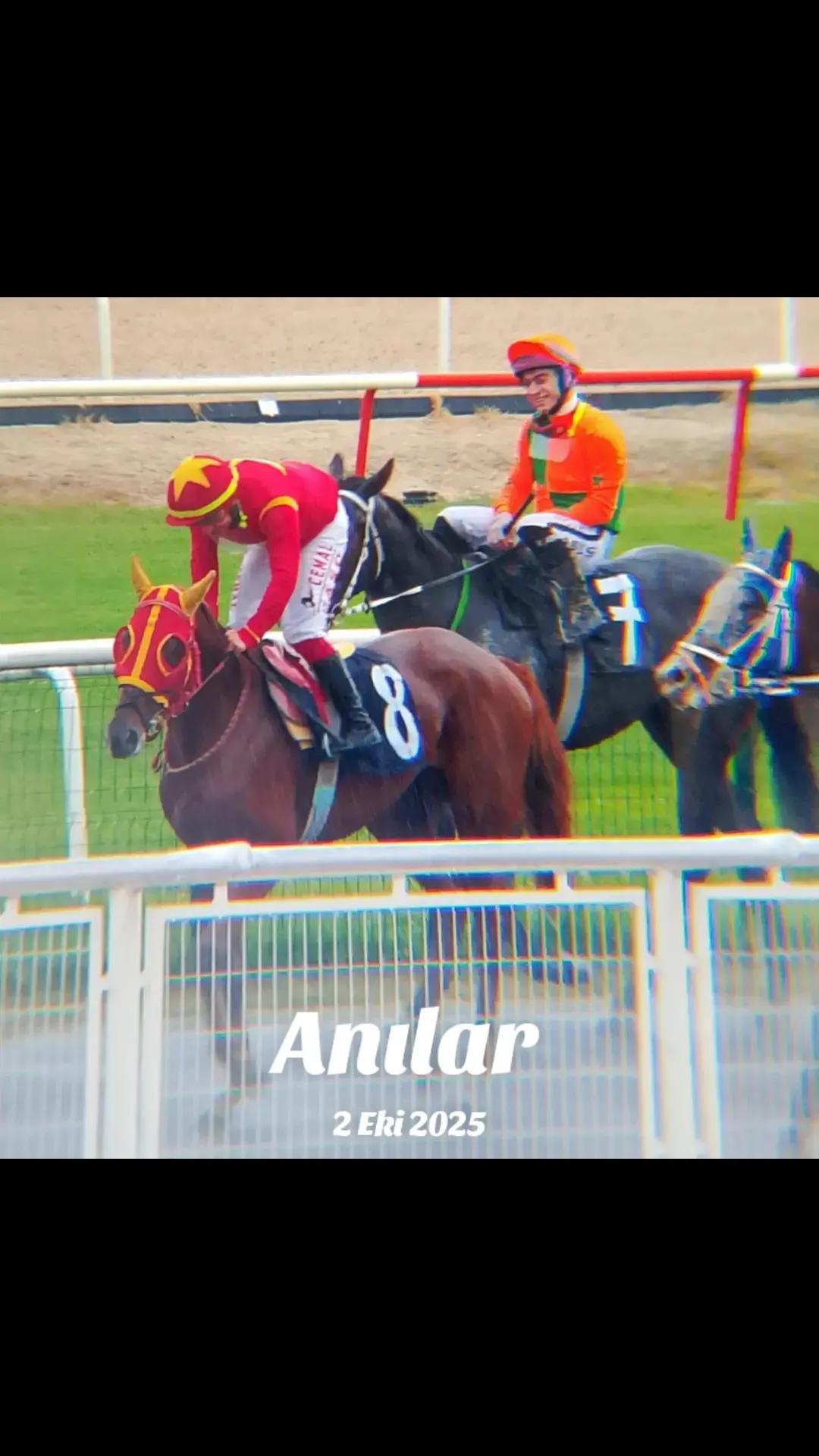 @brs horse racing