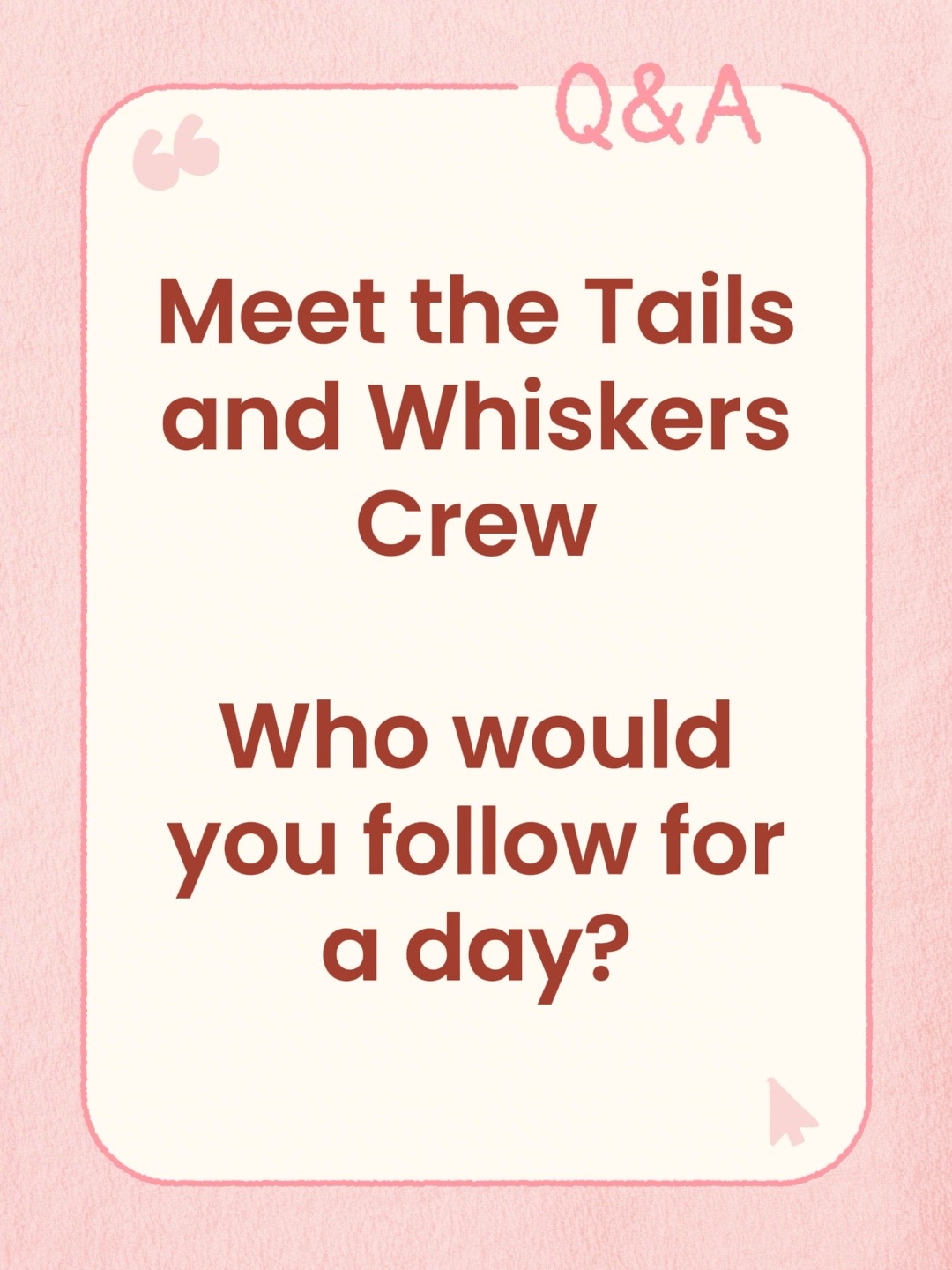 @TailsandWhiskersCo