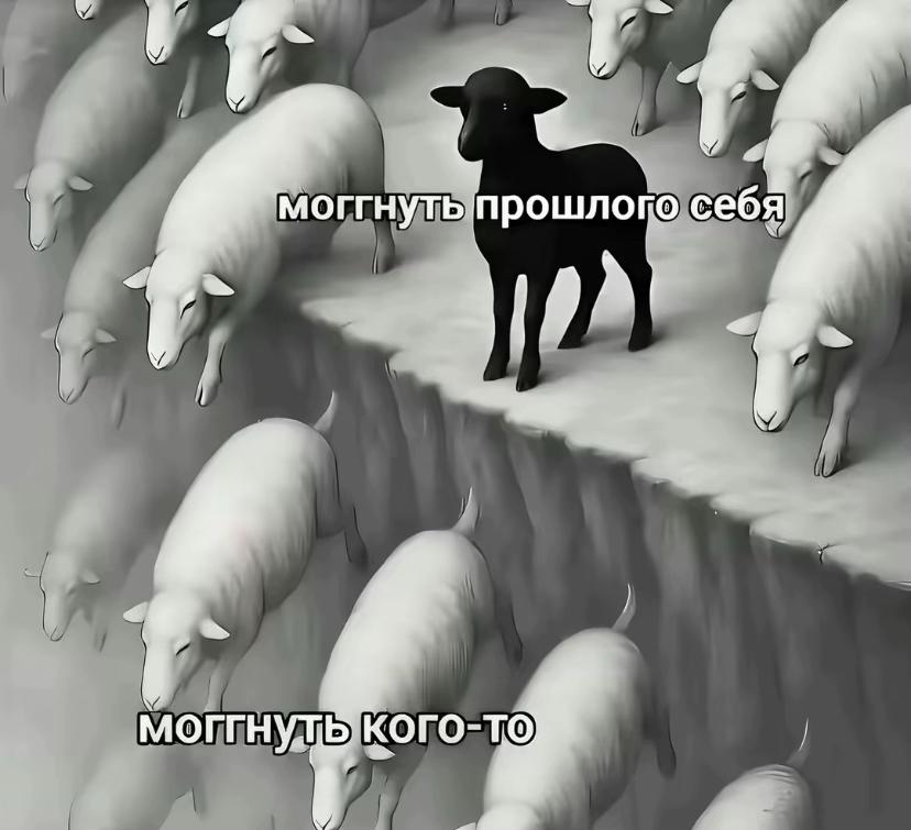 @🕊️ | 𝒽𝑒𝒶𝓋𝑒𝓃𝓁𝓎 | ☮︎