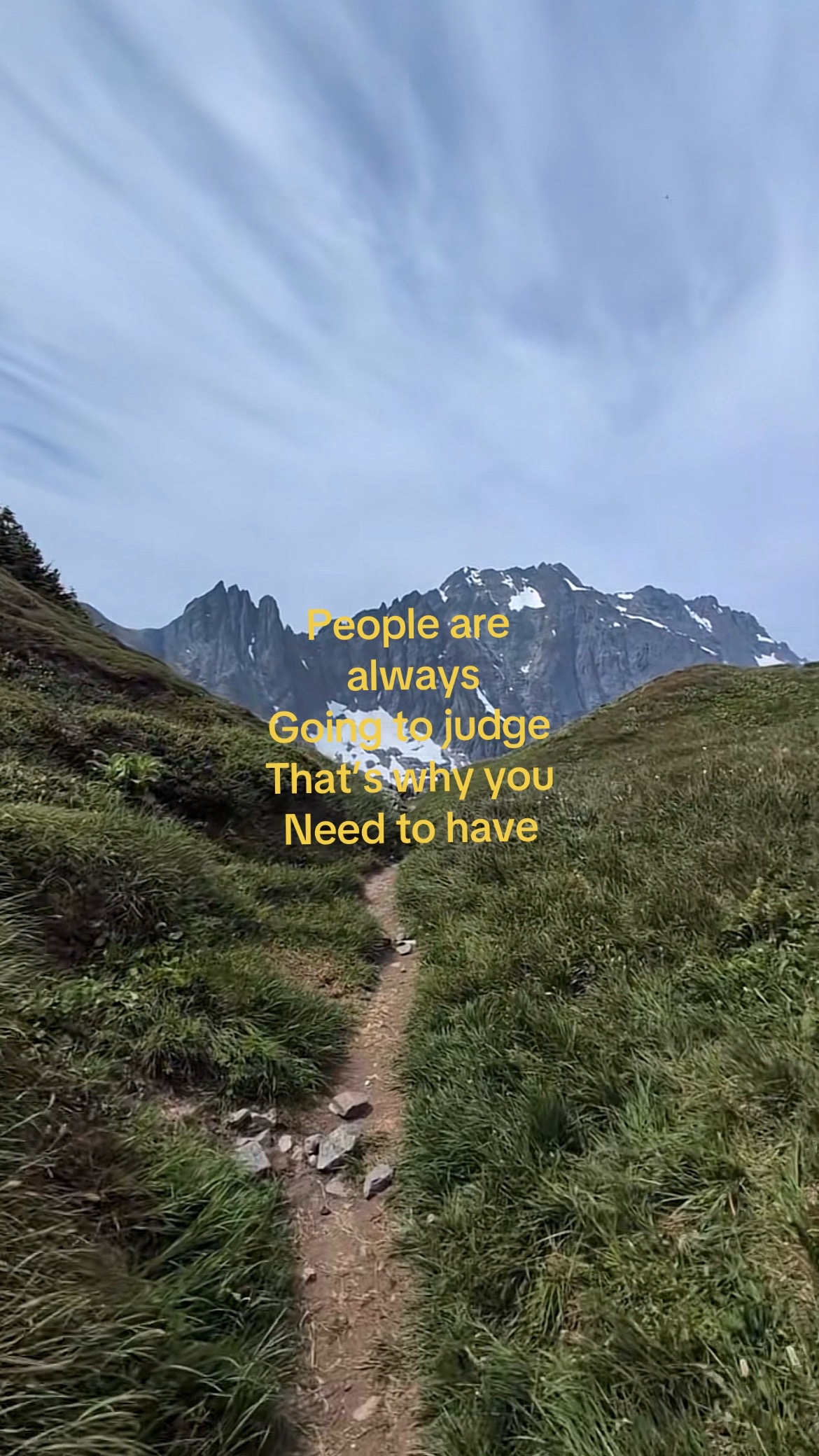 @vinsucx