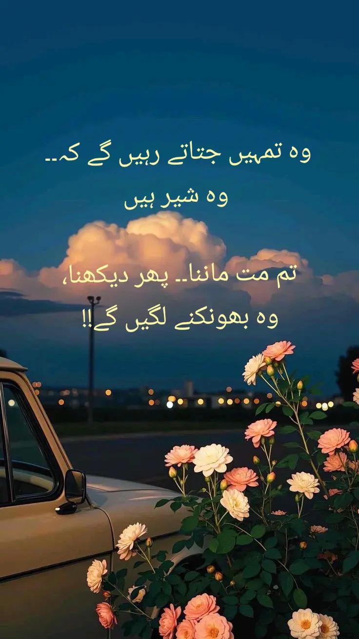 @zar_e_nayaab
