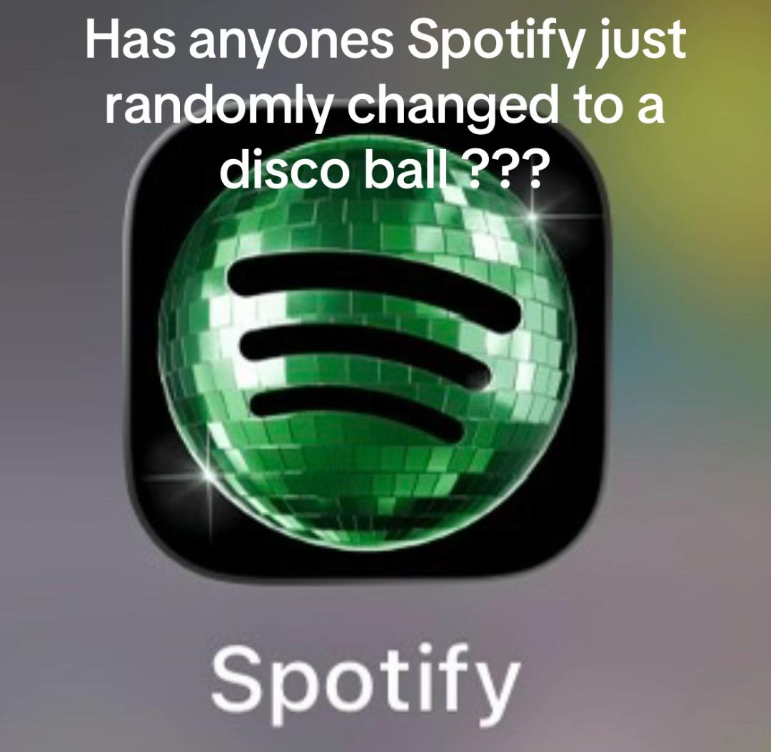 @DarcyWilliams
