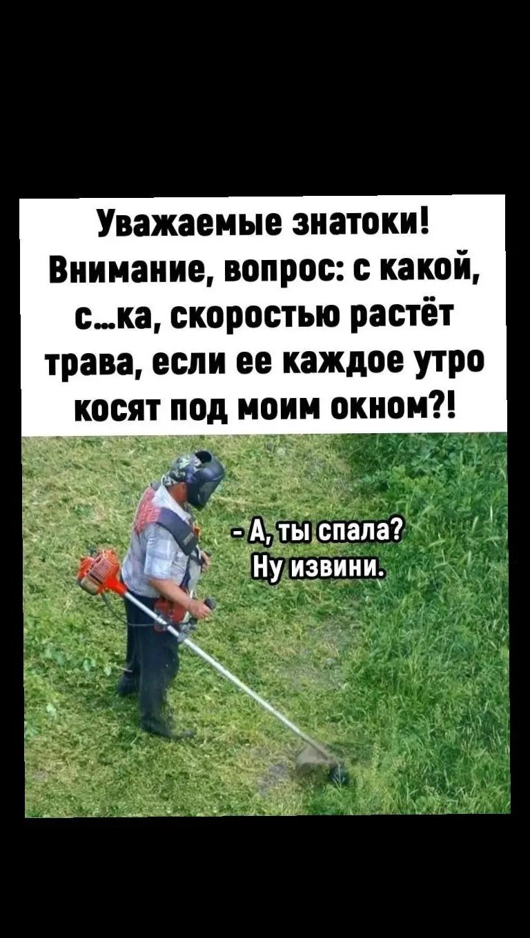 @Олеся
