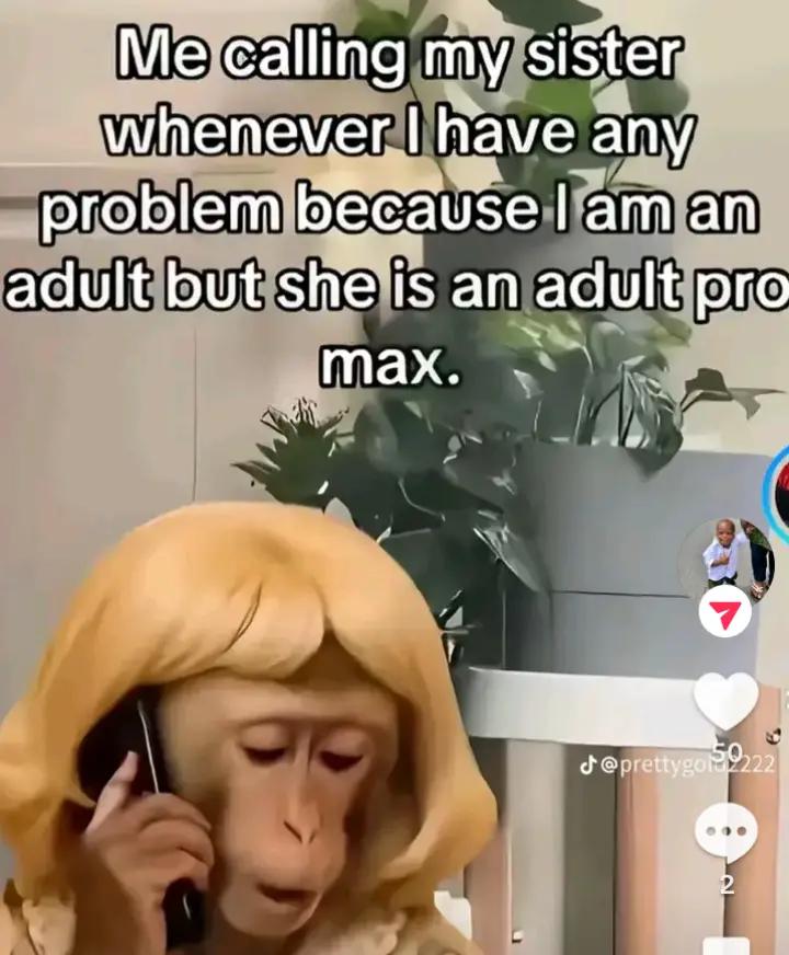 @Bellanice